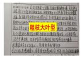 高中政治人教版必修三文化生活主观题突破（共23张PPT）课件PPT