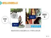 认识从何而来 课件PPT