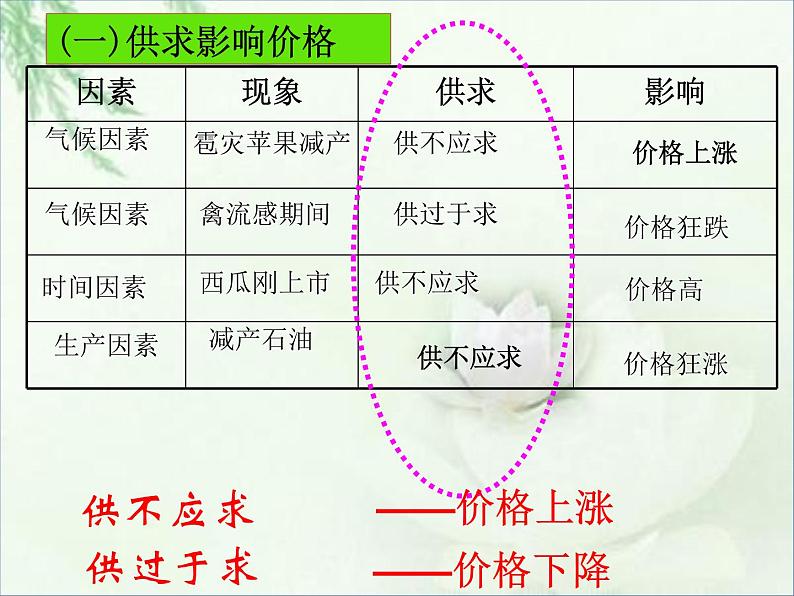 第二课 多变的价格多变的价格 PPT课件03