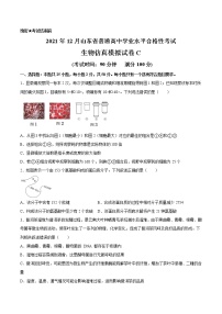 2021年12月山东省普通高中学业水平合格性考试生物仿真模拟试卷C（考试版）