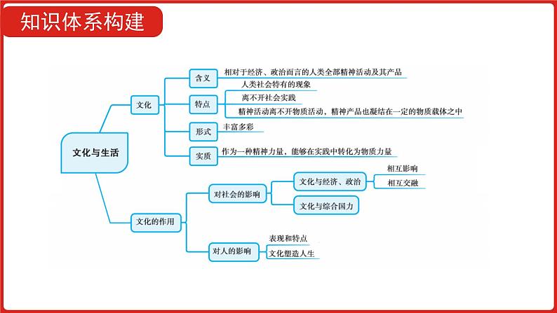 全国通用高中政治一轮复习《专题九   文化与生活》课件第5页