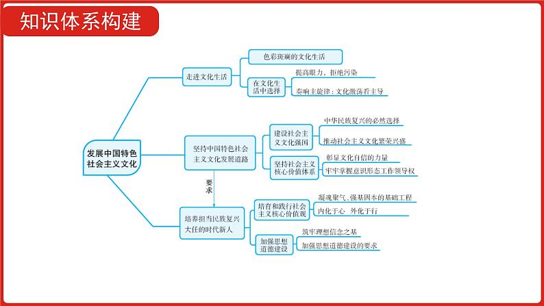 全国通用高中政治一轮复习《专题十二   发展中国特色社会主义文化》课件第6页