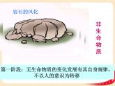 （新教材）2.1世界的物质性课件+教案+练习