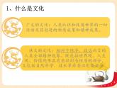 （新教材）7.1文化的內(nèi)涵與功能課件+教案+練習(xí)