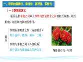 世界是普遍联系的PPT课件免费下载2023