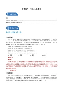 专题29 走进文化生活 常考点归纳与变式演练 作业 高考政治 一轮复习 人教版 （2021年）