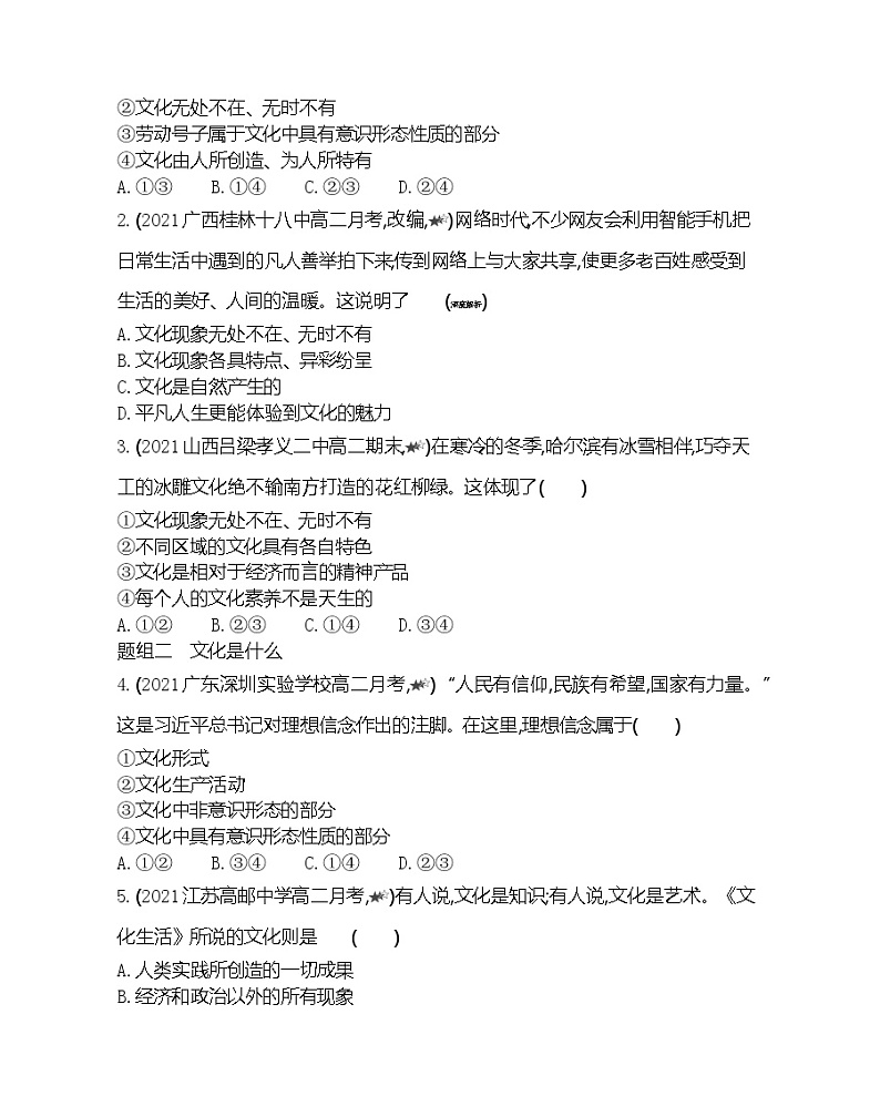 第一框　体味文化-2022版政治必修3人教版（新课标）同步练习 （Word含解析）第3页