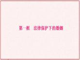 法律保护下的婚姻PPT课件免费下载