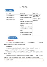 高中政治 (道德与法治)人教统编版必修3 政治与法治严格执法学案设计