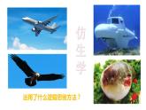 7.2 類比推理及其方法-2020-2021學(xué)年高二政治同步備課系列（部編版選擇性必修三）課件PPT