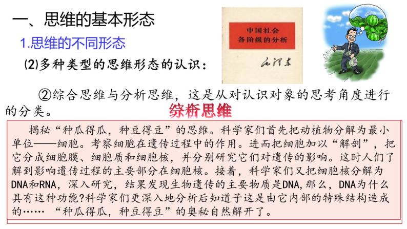 1.2 思维形态及其特征-2020-2021学年高二政治同步备课系列（部编版选择性必修三）课件PPT07