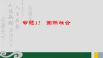 专题11 国际社会-2020年新高考政治专题复习精品课件（山东专用）