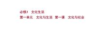 第一课 文化与社会课件-2022届高考政治一轮复习人教版必修三文化生活