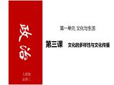 第三课 文化的多样性与文化传播  课件-2022届高考政治一轮复习人教版必修三文化生活