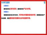 【核心素養(yǎng)目標(biāo)】部編版選擇性必修一4.8.1《日益重要的國際組織》課件+教案+視頻+同步分層練習(xí)（含答案解析）