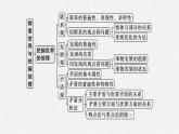 2022届高三政治（新教材）二轮复习课件：专题八　探索世界与把握规律