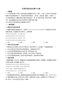 高中政治 (道德与法治)人教统编版选择性必修1 当代国际政治与经济区域性国际组织练习题