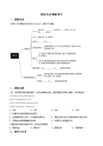 高中政治 (道德与法治)人教统编版选择性必修1 当代国际政治与经济国际关系同步练习题