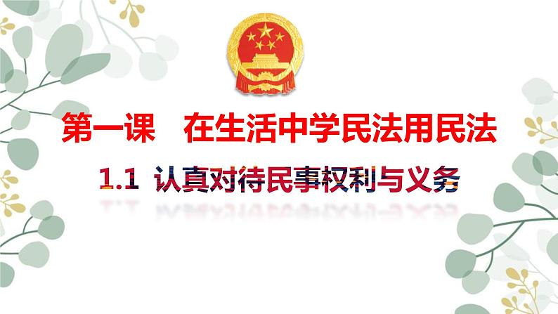 1.1认真对待民事权利与义务课件PPT第3页