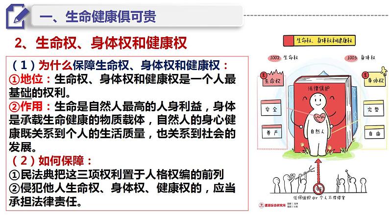 1.2积极维护人身权利课件PPT第6页