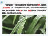 1.4.1《权利保障  于法有据》课件PPT+教案+练习