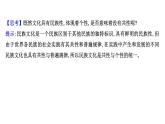 8.1文化的民族性与多样性课件-2021-2022学年高中政治统编版必修四哲学与文化