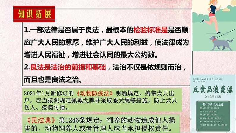 8.1 法治国家  课件-2021-2022学年高中政治统编版必修三政治与法治第8页