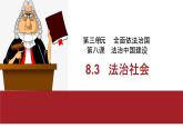 8.3法治社会课件-2021-2022学年高中政治统编版必修三政治与法治