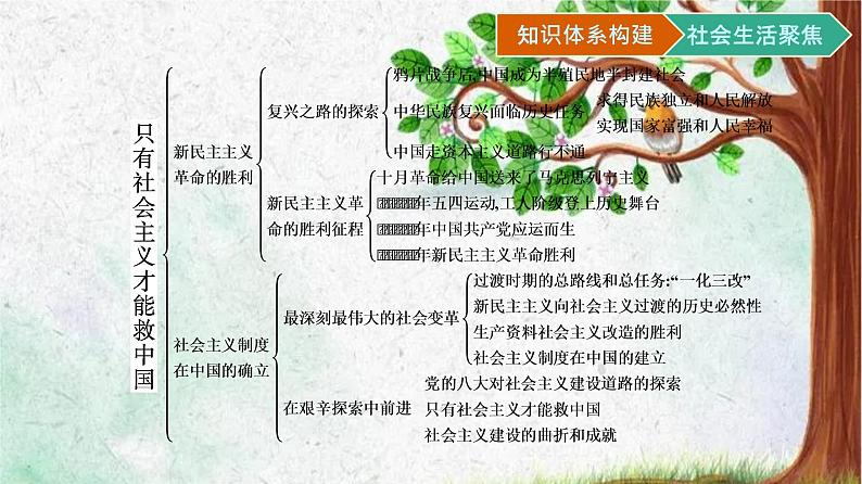 第一阶段核心素养整合课件PPT第4页