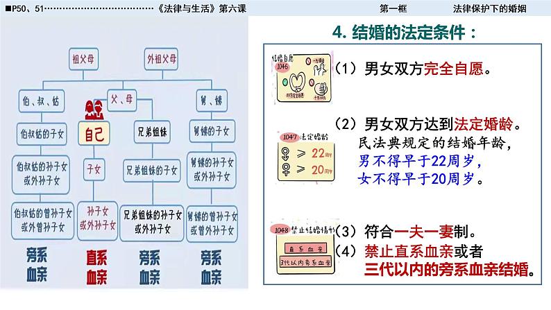 2022高二政治选修2-6-1法律保护下的婚姻课件PPT04