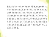 部編版高中政治選擇性必修1第三單元經濟全球化綜合探究發(fā)展更高層次開放型經濟完善全球治理課件