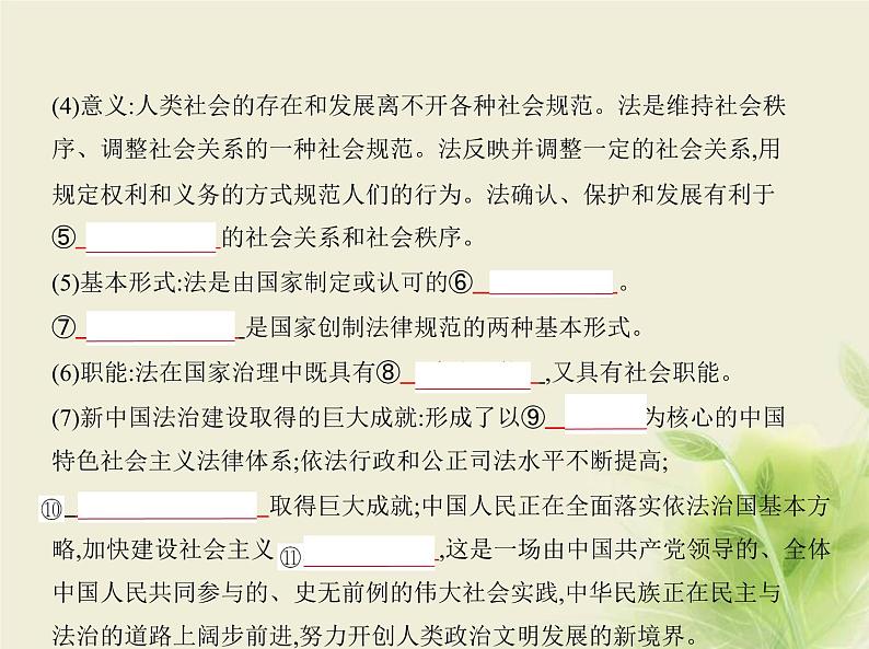 山东专用高考政治一轮复习专题七全面依法治国1课件03