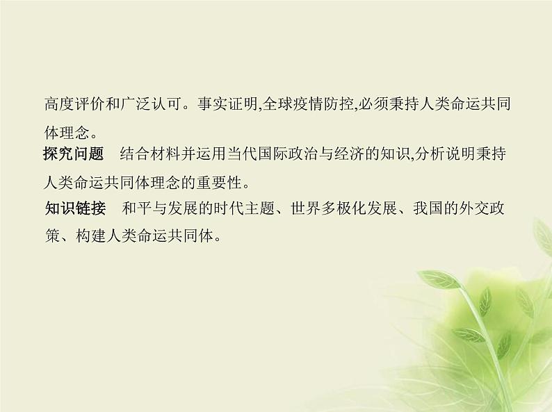 山东专用高考政治一轮复习专题十一当代国际政治与经济2课件第7页