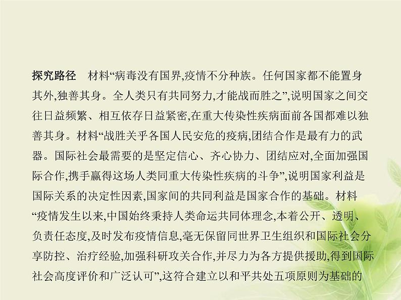 山东专用高考政治一轮复习专题十一当代国际政治与经济2课件第8页