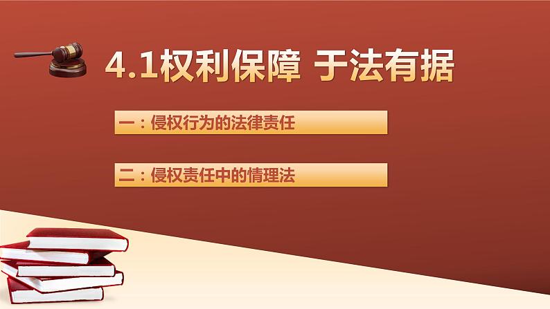 4.1 权利保障 于法有据 课件7选择性必修2 法律与生活第1页