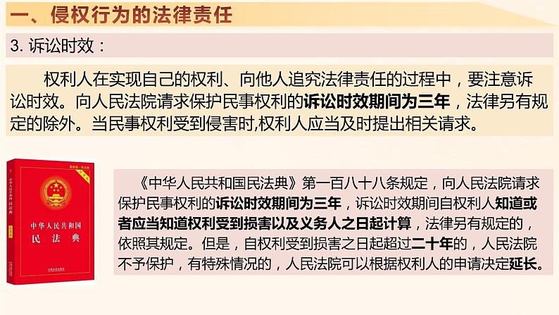 4.1 权利保障 于法有据 课件7选择性必修2 法律与生活第7页