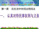 1.1认真对待民事权利与义务 课件6选择性必修二法律与生活