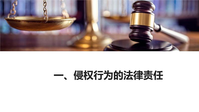 4.1 权利保障 于法有据 课件5选择性必修2 法律与生活第4页