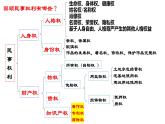 2.2 尊重知识产权 课件4选择性必修二法律与生活