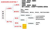 高中政治 (道德与法治)人教统编版选择性必修2 法律与生活尊重知识产权示范课课件ppt