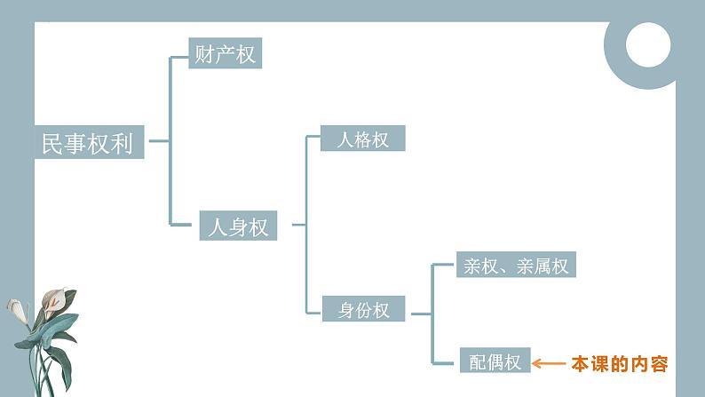 6.1 法律保护下的婚姻 课件1选择性必修二法律与生活第2页