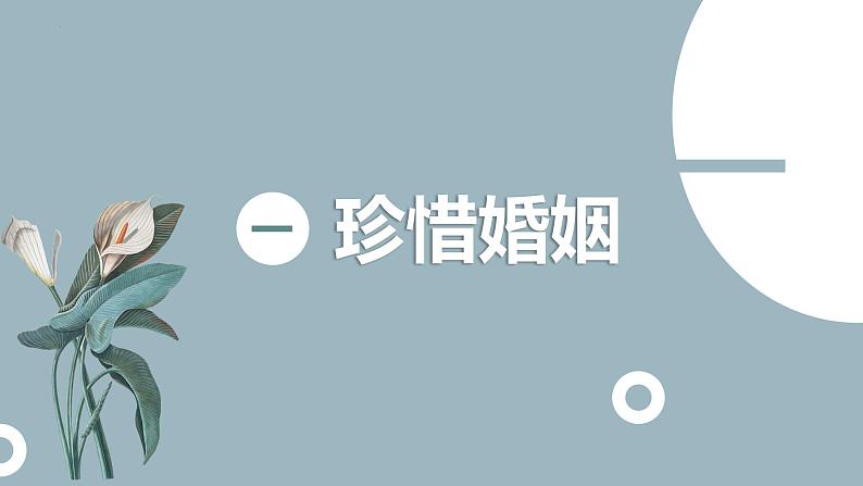 6.1 法律保护下的婚姻 课件1选择性必修二法律与生活第4页