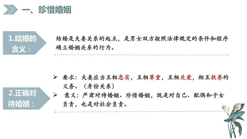 6.1 法律保护下的婚姻 课件1选择性必修二法律与生活第7页