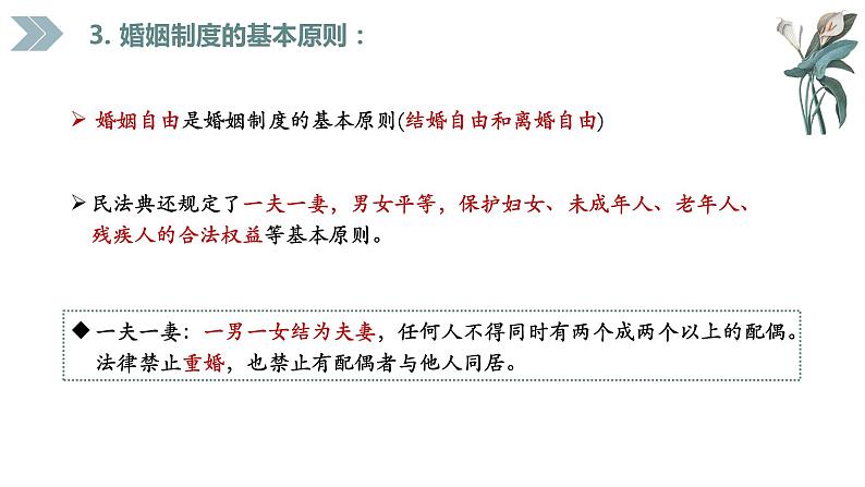 6.1 法律保护下的婚姻 课件1选择性必修二法律与生活第8页