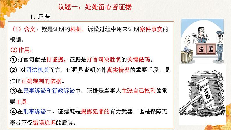 10.3 依法收集运用证据 课件6选择性必修二法律与生活07