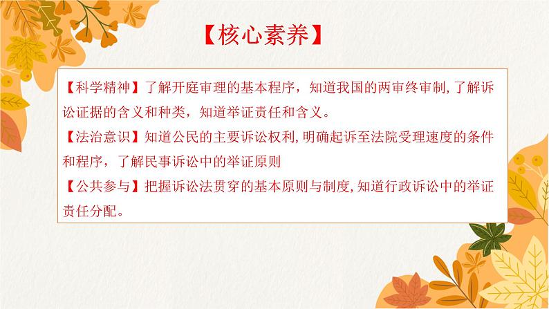 10.1 正确行使诉讼权利 课件3选择性必修2法律与生活第3页