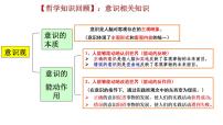 高中人教统编版思维的含义与特征说课ppt课件