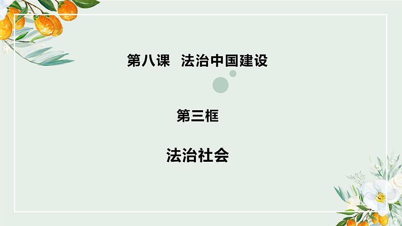 8.3 法治社会 （教学课件）-武城县迪尔中学高中政治人教统编版必修三02