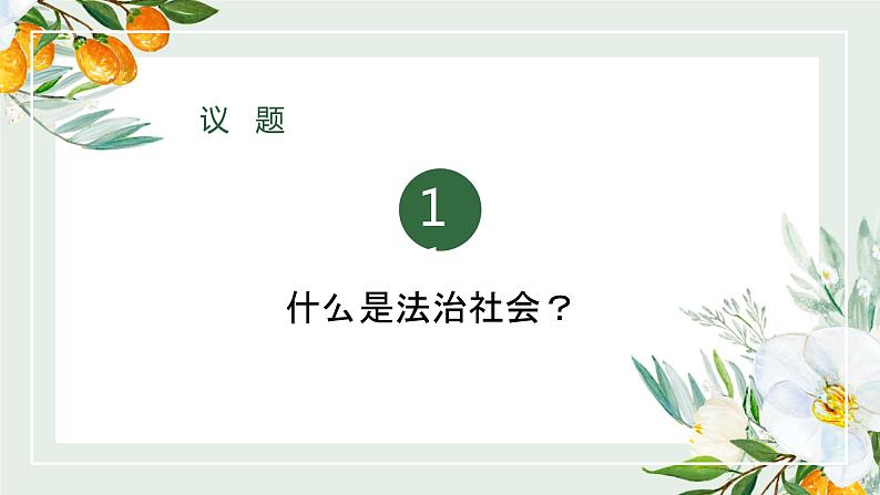 8.3 法治社会 （教学课件）-武城县迪尔中学高中政治人教统编版必修三05