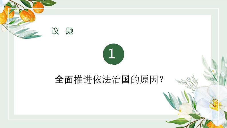 7.2 全面依法治国的总目标与原则 （教学课件）-武城县迪尔中学高中政治人教统编版必修三05